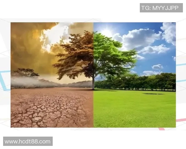 全球气候变化加剧 各国纷纷出台应对措施推动绿色转型